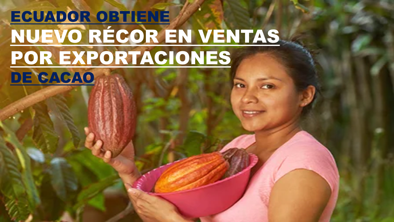 Ecuador Obtiene Nuevo Récor en ventas por exportaciones de cacao Sumaron USD 940 millones