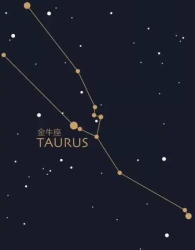 上升金牛外表 上升金牛外表