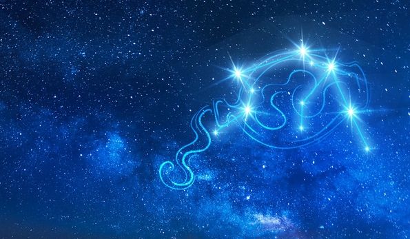 金星水瓶